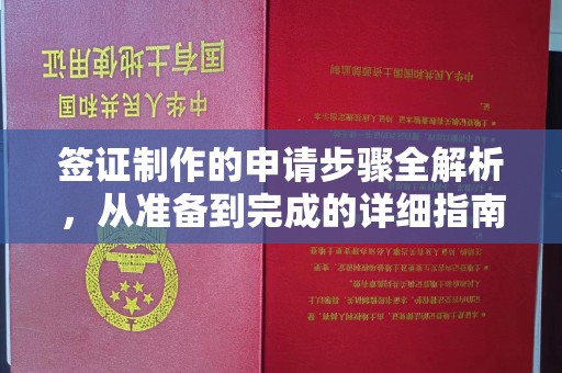 信州签证制作的申请步骤全解析，从准备到完成的详细指南