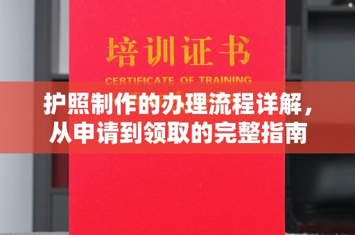 信州护照制作的办理流程详解，从申请到领取的完整指南